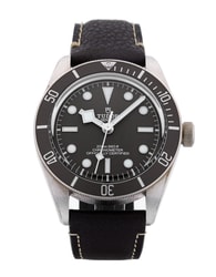 Tudor Black Bay 58 M79010SG-0001